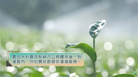 全水龜種類|認識臺灣三種原生淡水龜(農業E報